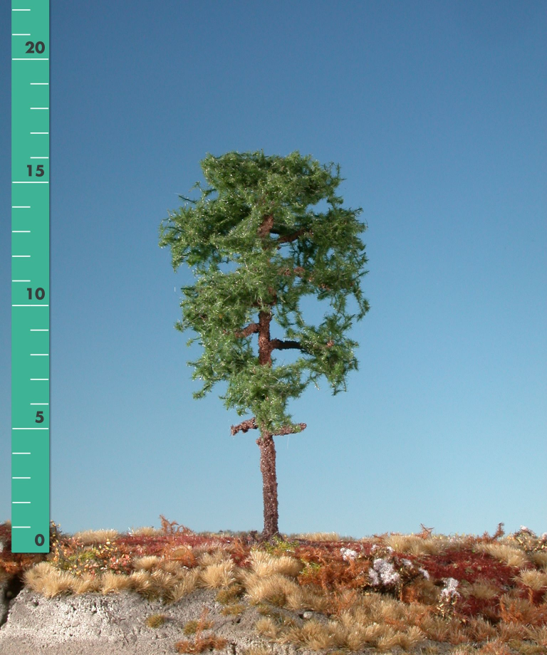 Silhouette 270-02 - Waldkiefer/ Forest Pine