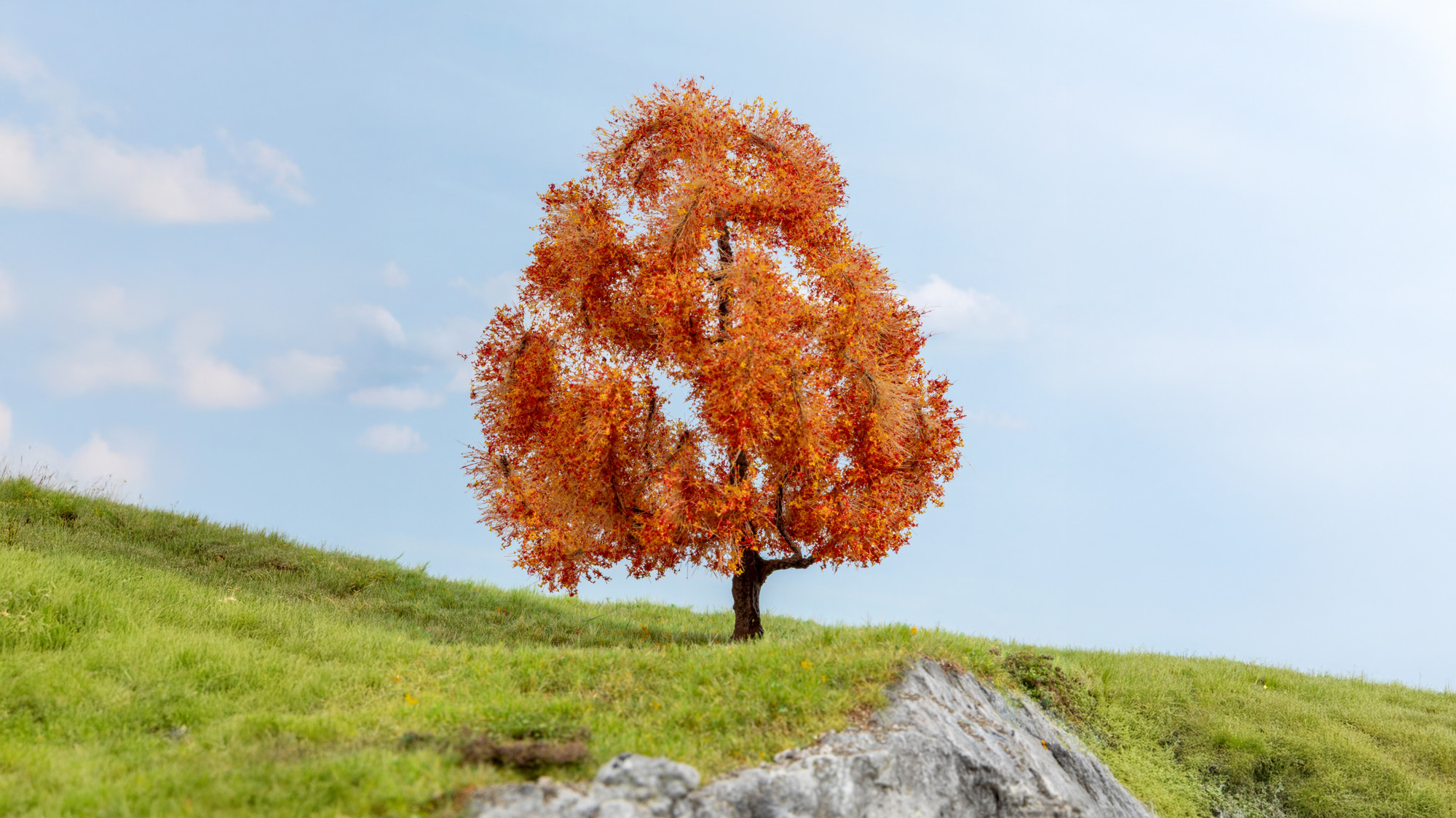 NOCH 20155 - Ahorn, herbstlich