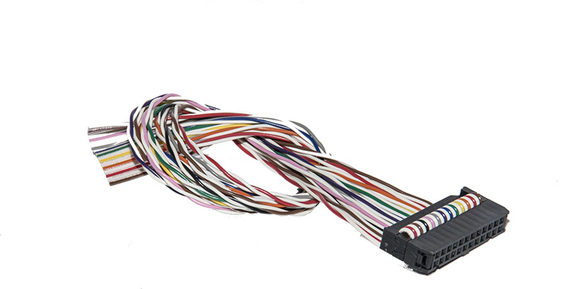 Qdecoder QD143 - Kabel (75 cm) für 12 Anschlüsse a