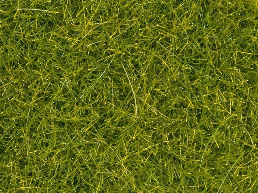 NOCH 08363 - Streugras