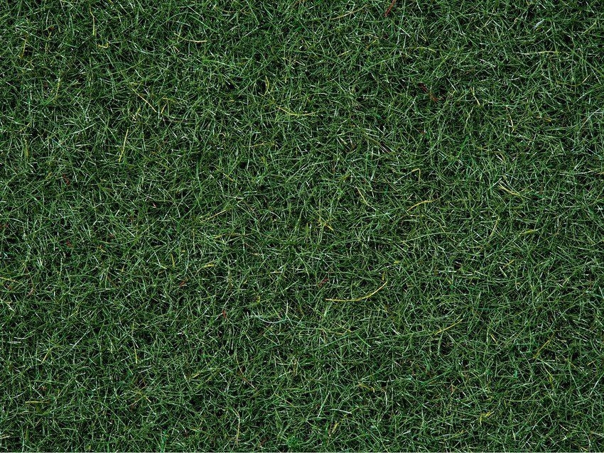 NOCH 08320 - Streugras “Moorboden”