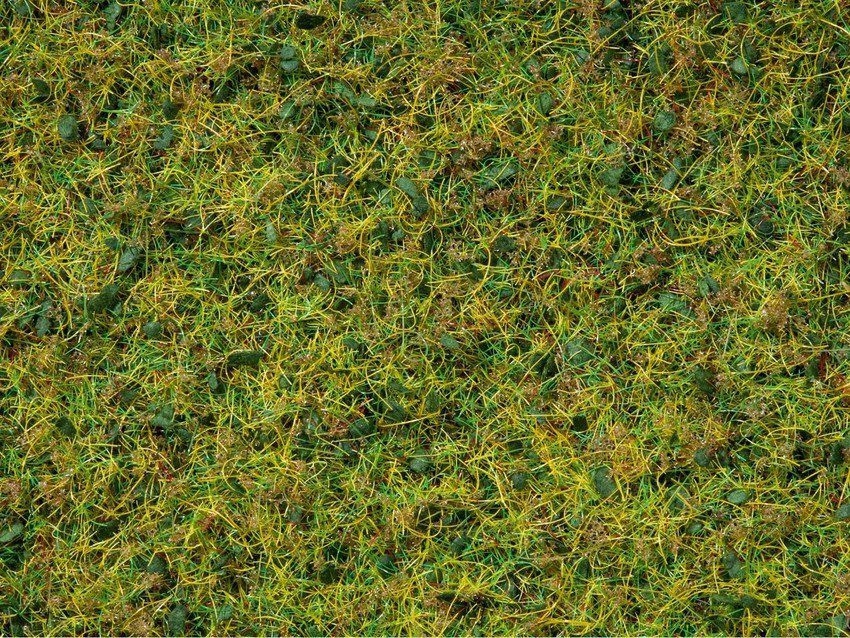 NOCH 07073 - Master-Grasmischung “Kuhweide”