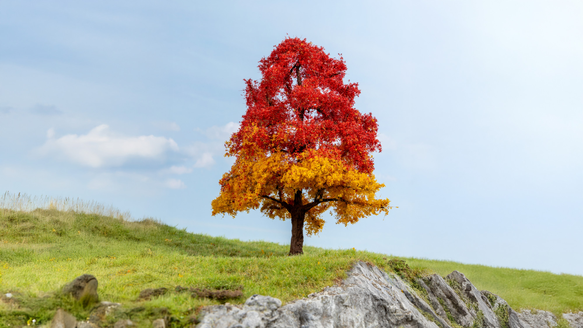 NOCH 20114 - Eiche, herbstlich