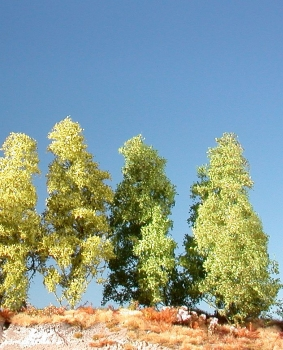 Silhouette 100-11 - Filigranbüsche / Filigree bush
